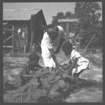 Gardening Food Production Program with Low-Income Families