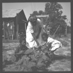 Gardening Food Production Program with Low-Income Families