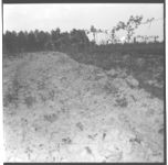 Herbicide Demonstrations in Grape Vineyards