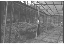 Greenhouse Construction and Production