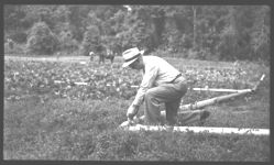 Preferated Pipe Sprinkler System Operated by Gravity on Ga. Better Farm #6