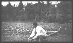 Preferated Pipe Sprinkler System Operated by Gravity on Ga. Better Farm #6