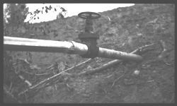 Preferated Pipe Sprinkler System Operated by Gravity on Ga. Better Farm #6