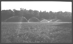 Revolving Sprinkler System in Ladino Clover Field - Mr. Davis' Farm