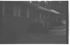 Landscaping (Holly)