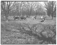 Winter pastures near Perry, GA.