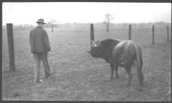 J.R. Johnson 3/46