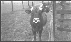 J.R. Johnson 3/46