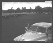 Scenes from 1950 tour of North Georgia Hereford Assn.