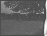 Turner Livestock Farm in Candler Co.