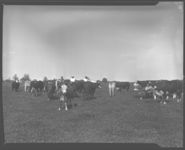 Uhland Freeman, his son, County Agent, Roy Garren, and beef cattle farm.