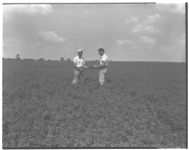 Curtis Avery with beef bull and alfalfa and [county agent].