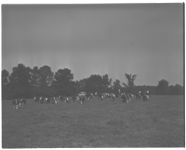 Bert Glisson, Livestock Farmer.