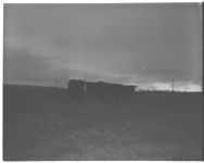 L.J. Lyle, and 4-H son, Jackie, and 4-H beef project.