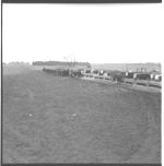 Bradley feedlot operation.