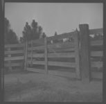 Beef cattle and equipment.