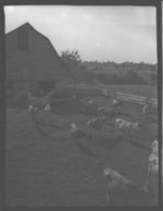 William Breedlove, Oconee Co. dairy farmer and R. D. Stephens, Co. Agent.