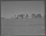 Farm of Frank Price.