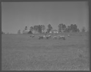 Farm of Frank Price.