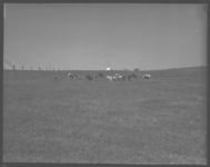 Farm of E. C. Kelly, Sr.