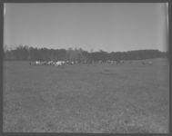 Farm of E. C. Kelly, Sr.