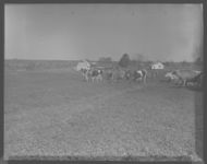 Farm of George Alexander.