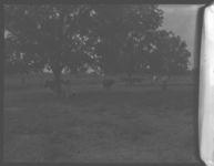 Dairyman, Arnett, of Effingham Co., and C.A., P.W. Clifton.