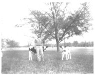 Washington Co. - Livestock - Dairy.