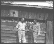 Washington Co. - Livestock - Dairy.