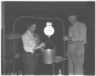 Dairy farmers using artificial insemination in their herds.