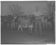 George Summerford 1956 dairy efficiency winner.