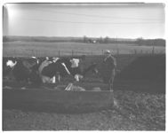 Roy Trilwell - 1957 winner of Dairy achievement award.