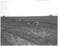 L. M. Agan truck farm (Haralson). Parmer dairy farm (Heard).