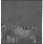 1967 Dairy Day.