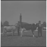 1967 Dairy Day.