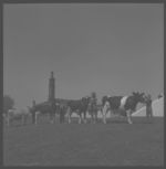 1967 Dairy Day.