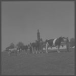 1967 Dairy Day.