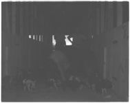 Vernon R. Reddinh. Co. Agt. Lowery. Hog work - and Suwannee - Bermuda(?)