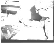Revalidation Dooly Co. - Swine Brucellosis