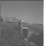 L. J. Daniel hog operation.
