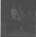 1967 State Spring Barrow Show.