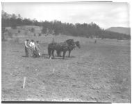 Co. agt. and N. Nicholson and experiment farm work in Towns Co. pasture.