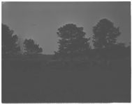 Ewing Farm.