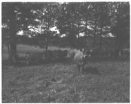 Ewing Farm.