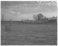 Ewing Farm.