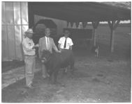 Presentation of beef to Univ. by Giddens (Rt. 2, Madison)