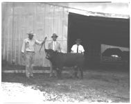 Presentation of beef to Univ. by Giddens (Rt. 2, Madison)