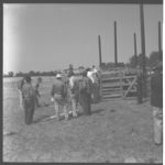 Cattle Branding - Clay near UTD Farm Home.
