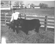 Heifer donated by Sinbola? Farms, Thomasville, GA