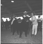20th Annual Georgia Cattle Show.